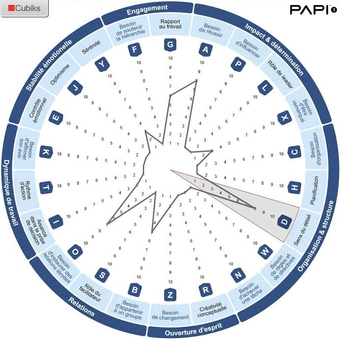 test-personnalite-professionnel_papi_cubiks