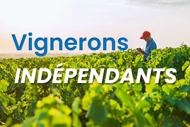 Vignerons indépendants : quelles opportunités pour développer votre activité ?