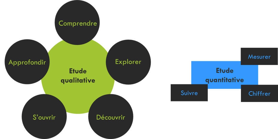 etude de marché : étude qualitative et étude quantitative