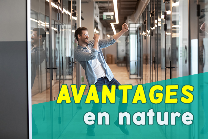 Avantages en nature 2020 exemples, définition, impôts  Appvizer