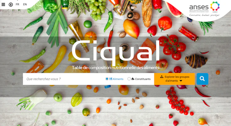 homepage-ciqual.anses