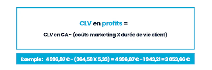 customer lifetime value en profits