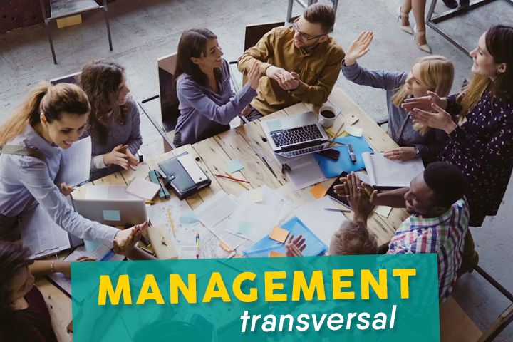 Le management transversal : que peut-il apporter à votre entreprise ?