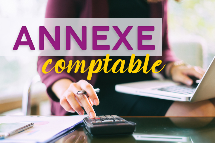 Annexe comptable : contenu, mentions obligatoires, dispense ...