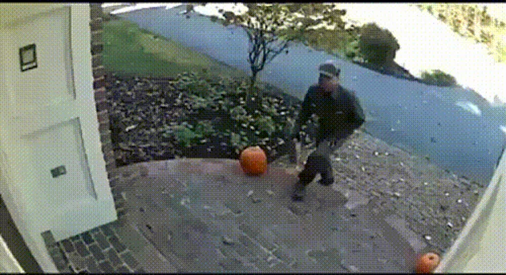 giphy