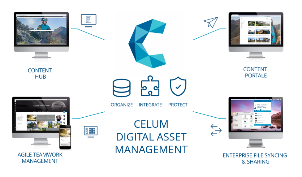 software-dam-celum