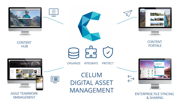 software-dam-celum
