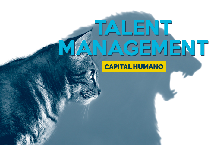 Gestión del Talento Humano: asegura el rendimiento laboral en 8 procesos