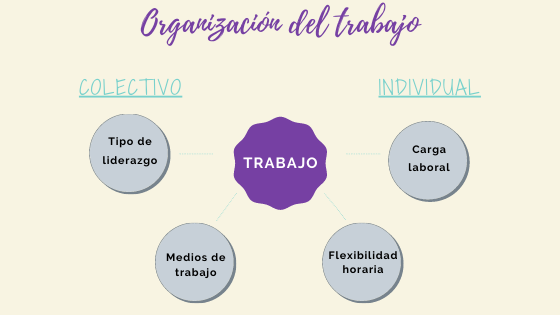 como-se-organiza-el-trabajo