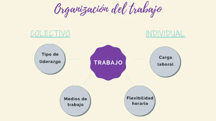 como-se-organiza-el-trabajo