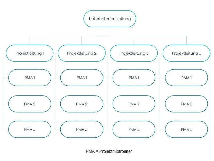 Reine Projektorganisation Schema