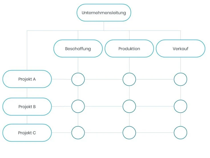 Matrixorganisation Schema