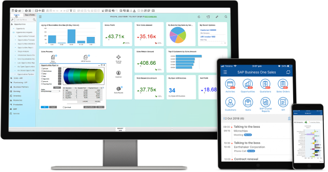 sap-business-one
