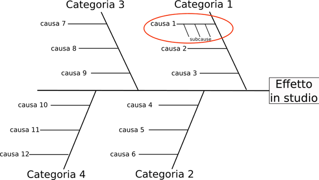 esempio diagramma lisca di pesce