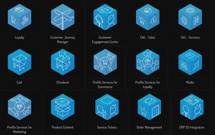 Les microservices des SAP