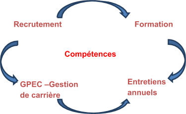 competences-formation.png