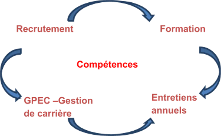 competences-formation.png