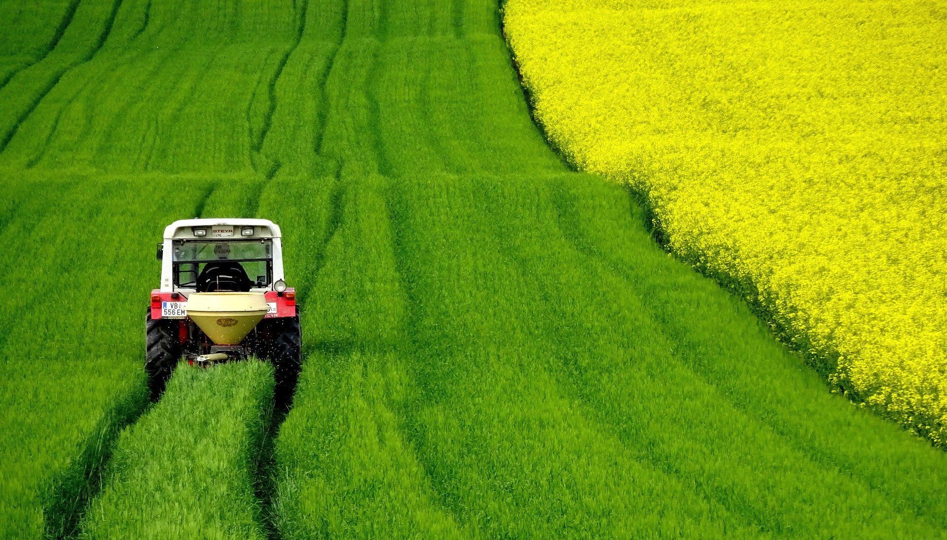 histoire de la foodtech