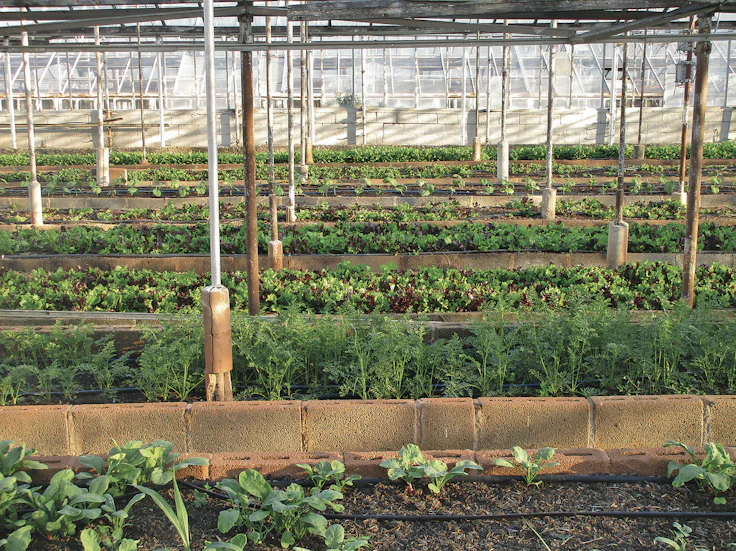 foodtech-greenhouse