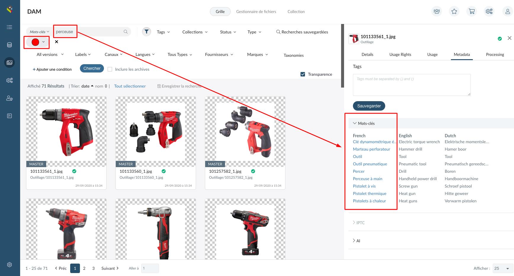 pim dam solution pimalion