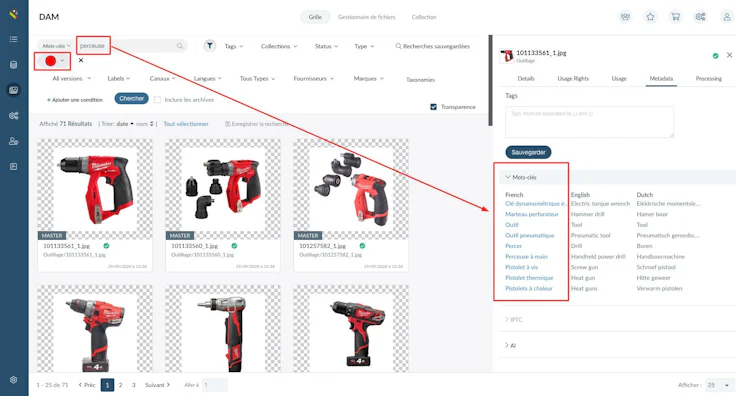 pim dam solution pimalion