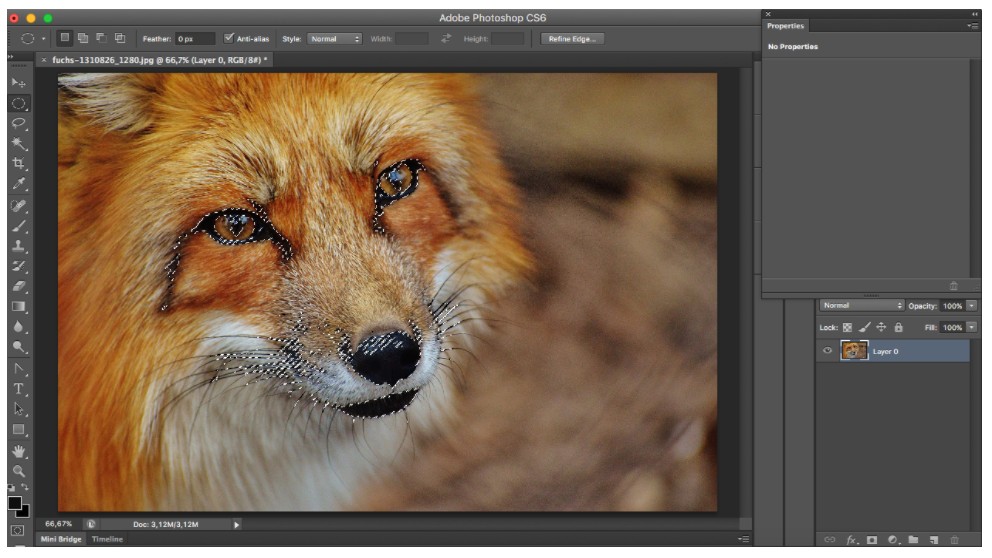 Tutorial Photoshop