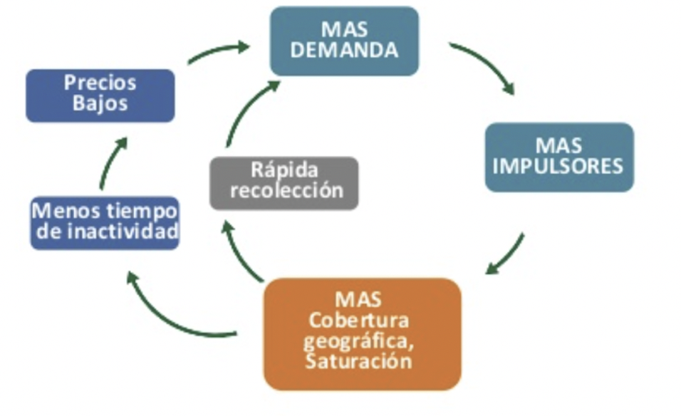 Efecto de red