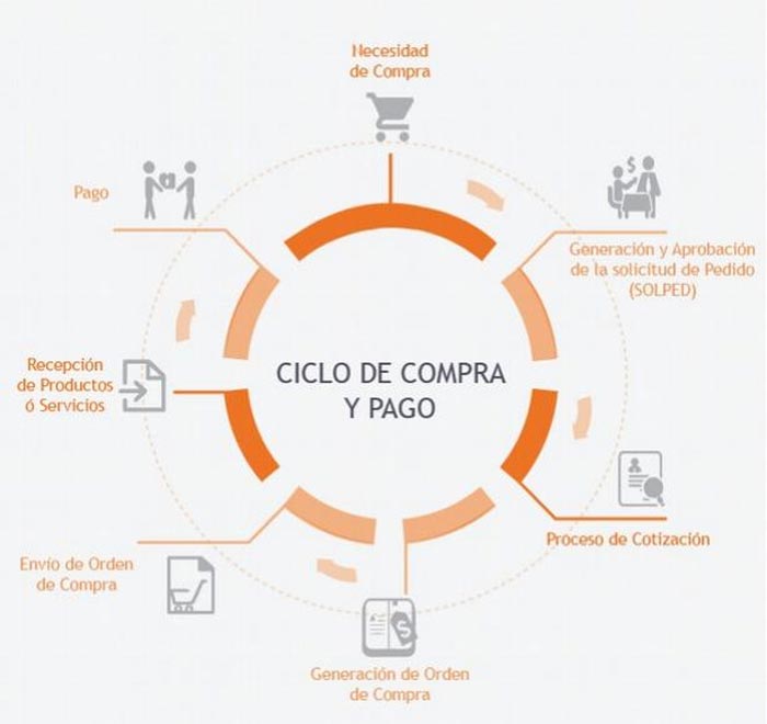 procure-to-pay-ciclo