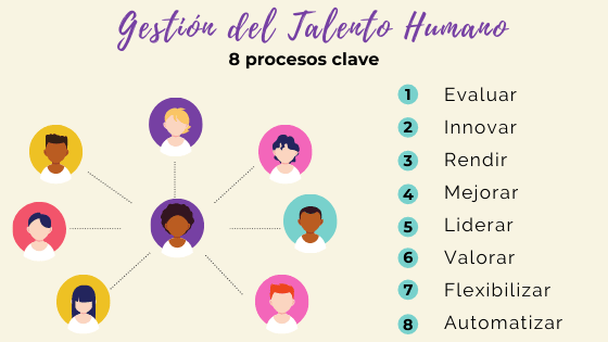 procesos-gestión-talento-humano