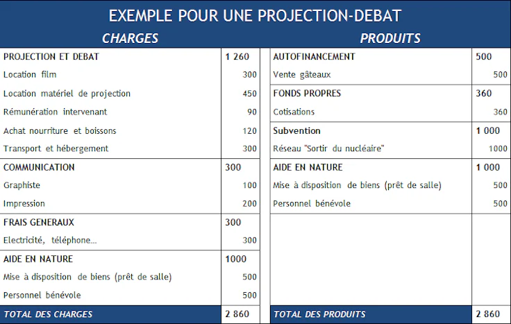 exemple de budget prévisionnel de projet