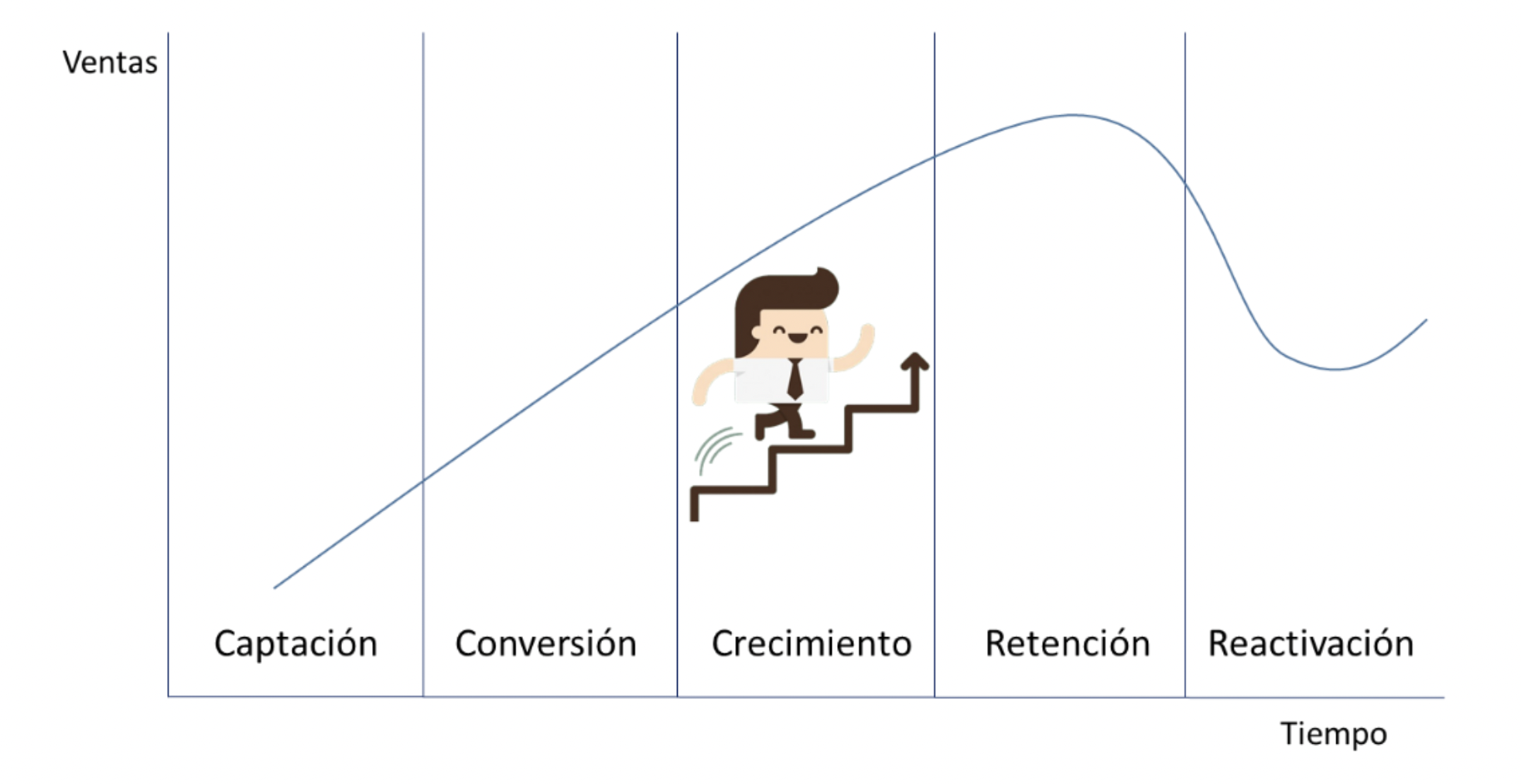 ciclo-de-vida-del-cliente-fases