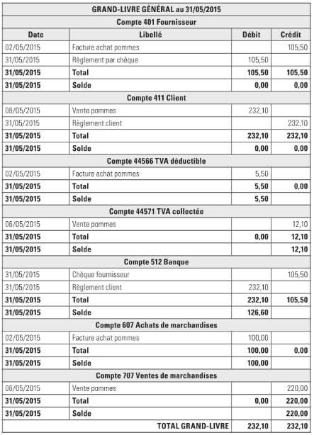 Grand livre comptable exemple
