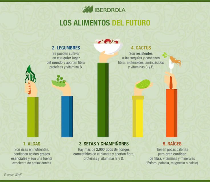 alimentos-futuro