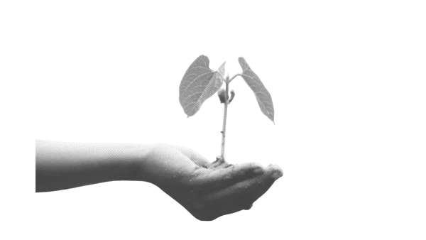 Come fare una mappatura delle competenze del personale?