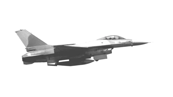 Complete Fighter. Complete Solution. Complete Success. NetSuite Edition
