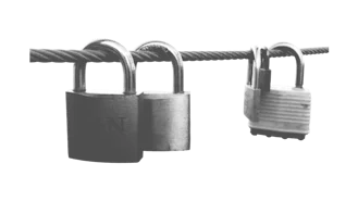Por qué debe desconfiar de los virus informáticos
