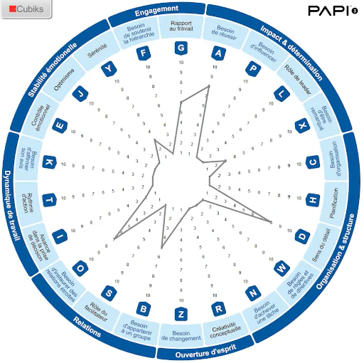 Le test PAPI : découvrez quel candidat est fait pour vous