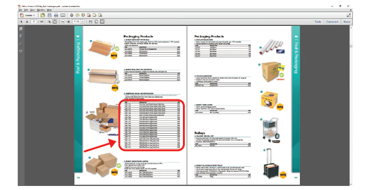 Capture Pagination.com pour logiciel PAO