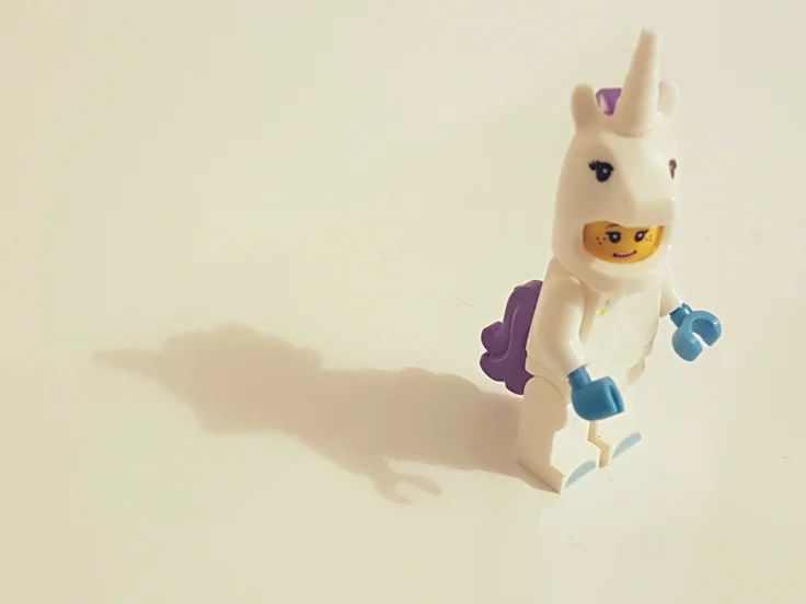 ines pimentel opkark20taw unsplash