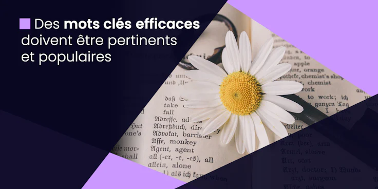 Des mots-clés efficaces : pertinents et populaires