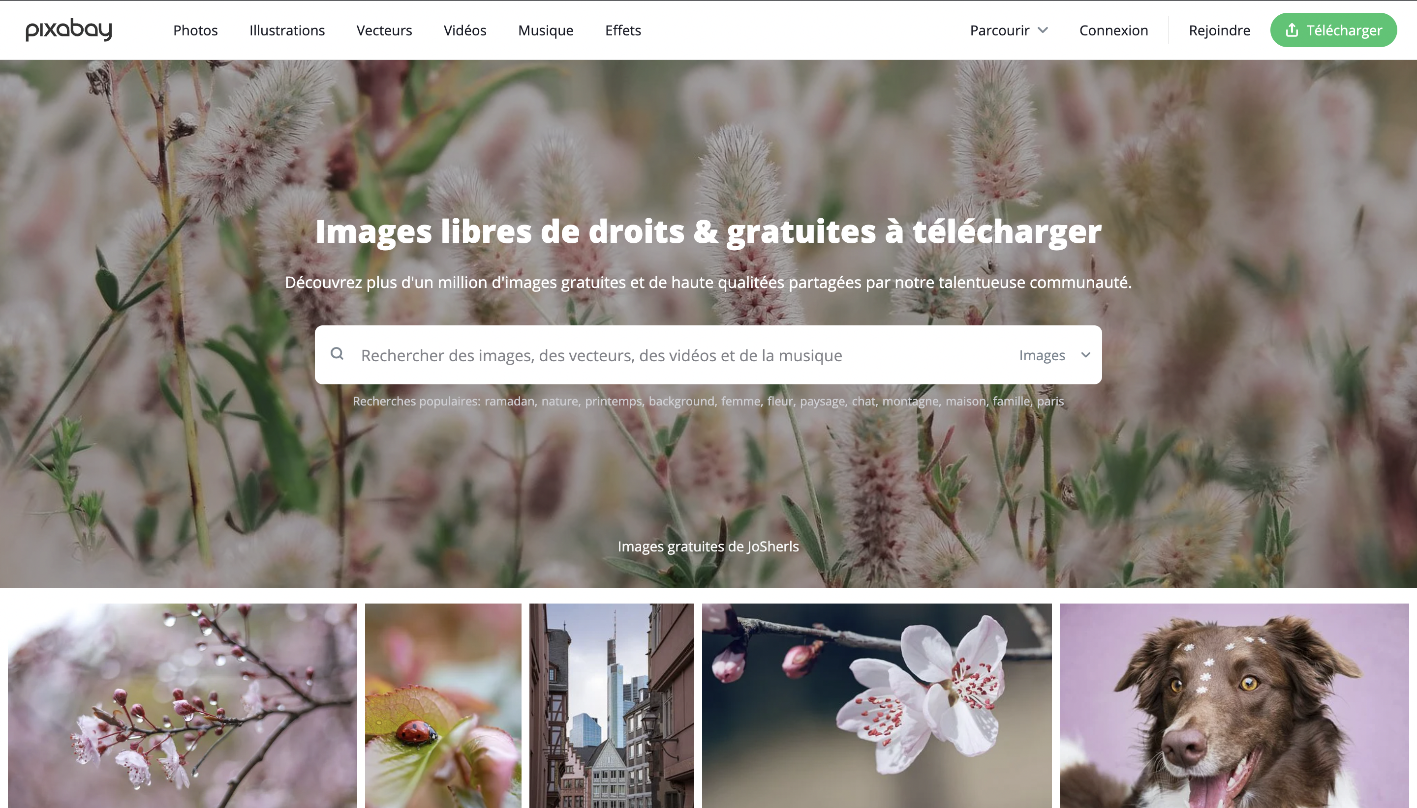 Pixabay