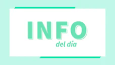 mascotas-en-el-trabajo