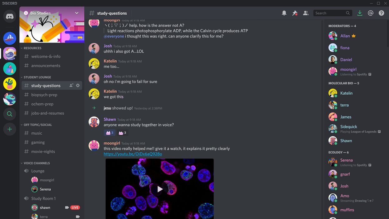 outils télétravail : Discord