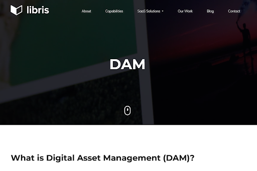 Logiciel photothèque : Libris DAM