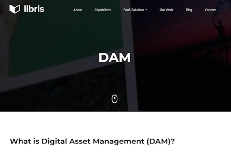 Logiciel photothèque : Libris DAM