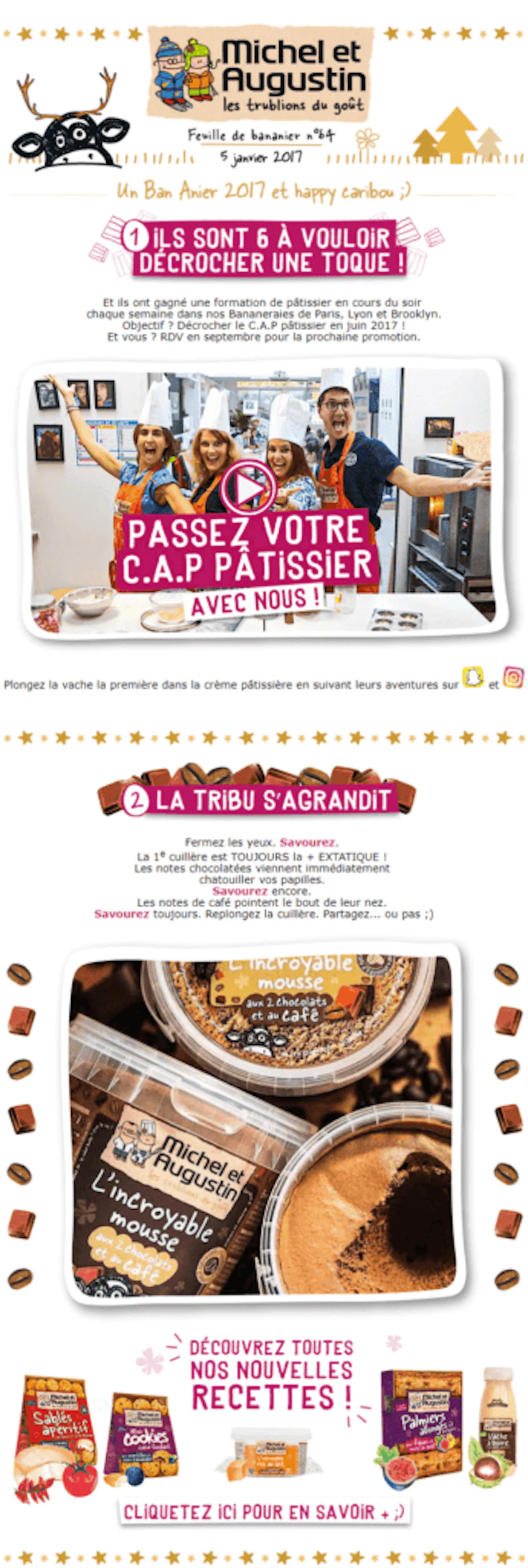 exemple-de-newsletter