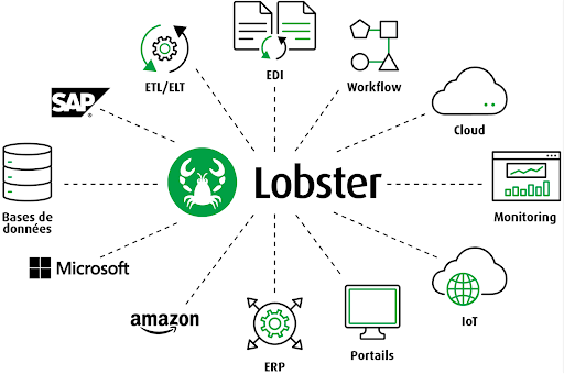 lobster