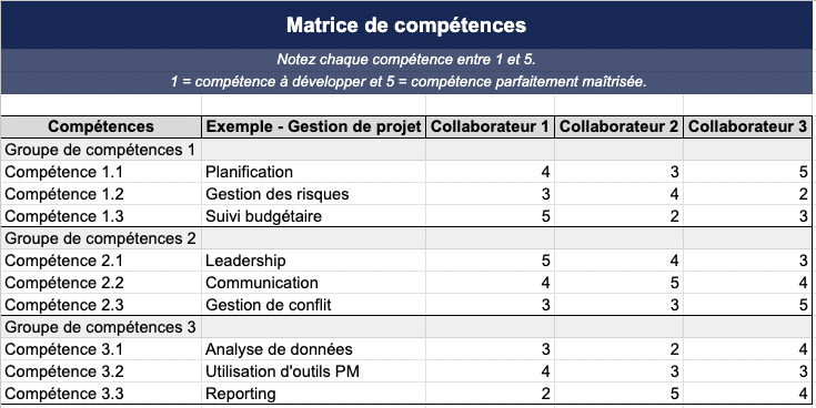 Exemple de matrice des compétences à compléter
