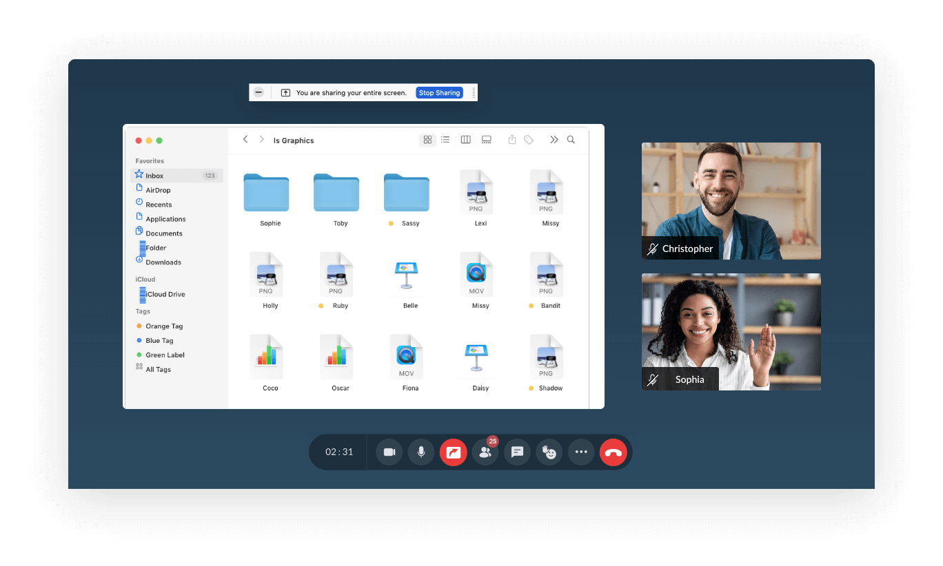 interface zoho meeting