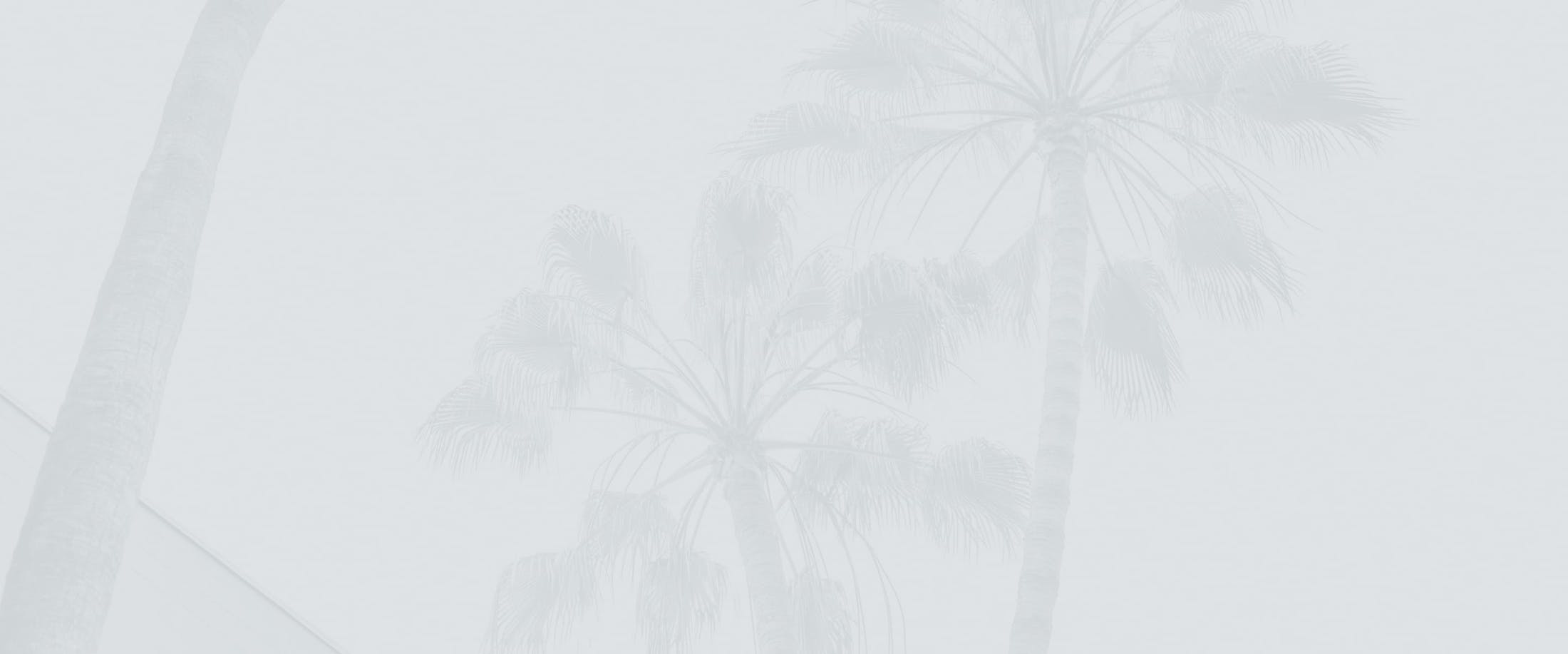 Banner media